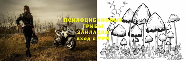 2c-b Медногорск